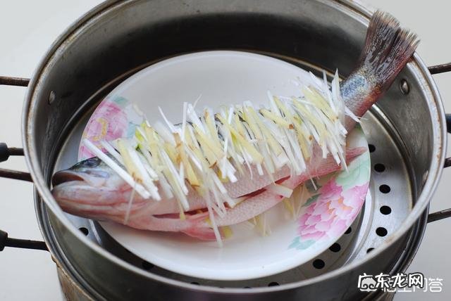清蒸鱼怎么做才能既美观又美味?