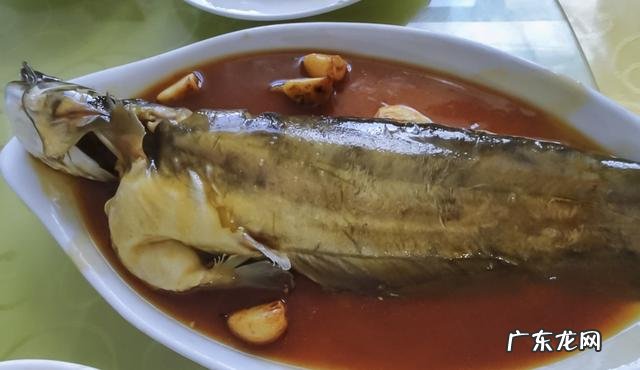 清蒸鱼怎么做才能既美观又美味?
