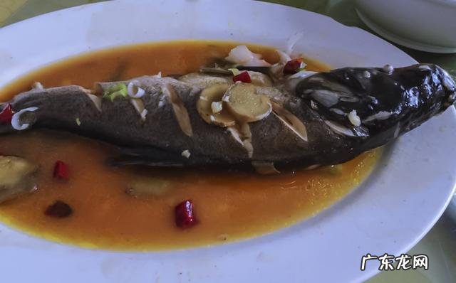 清蒸鱼怎么做才能既美观又美味?