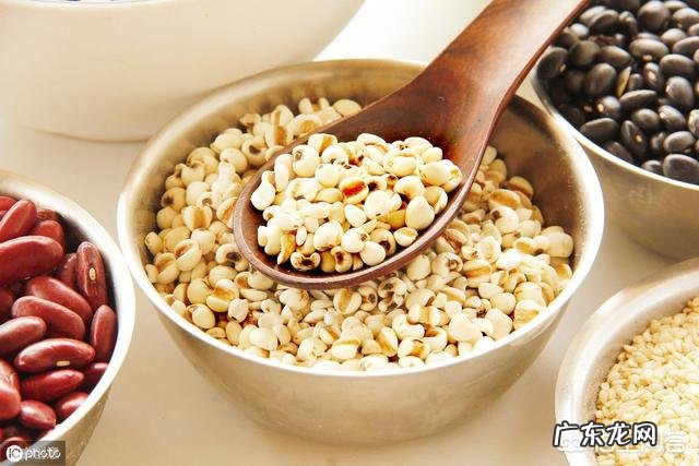 薏米可以煲什么汤?