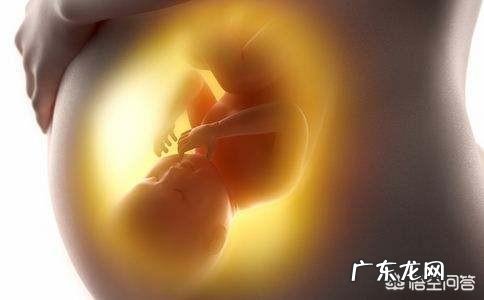 怀孕七个月的胎儿大概有多少斤?