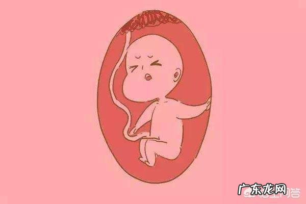 怀孕期间有什么方法可以做亲子鉴定?对胎儿有影响吗?