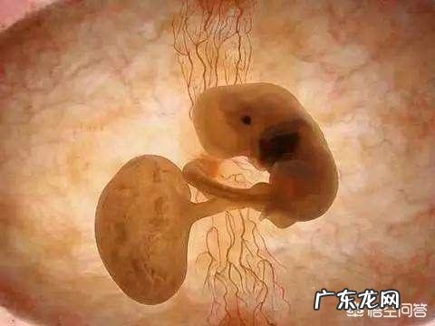 怀孕14周有点出血,这是什么原因?