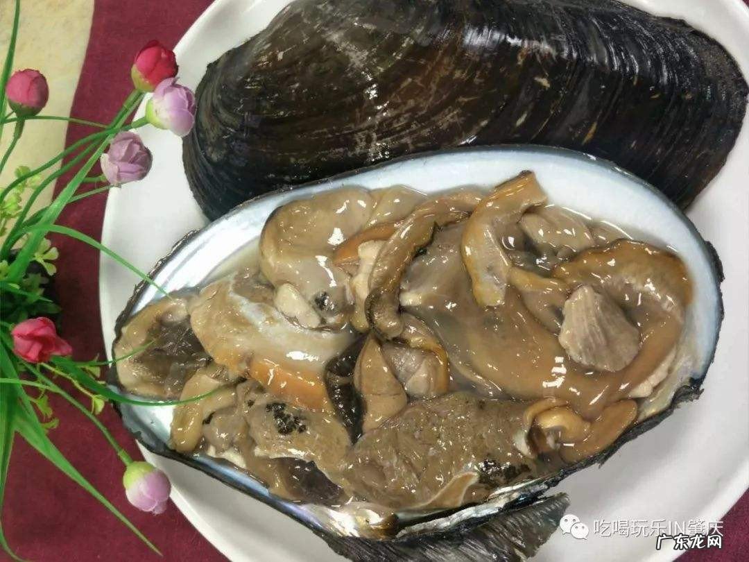 河蚌有什么功效和作用