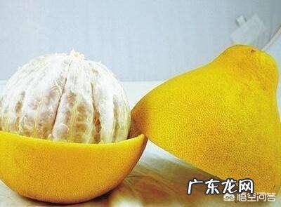 柚子有哪些好处和坏处?