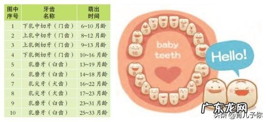 孩子大约几岁开始换牙?