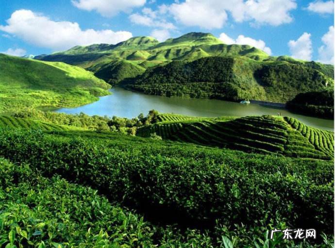 青山不老主要内容