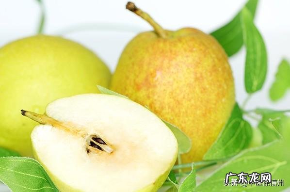 都说冬季养生,养生到底养什么?