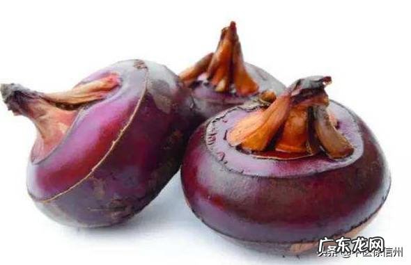 都说冬季养生,养生到底养什么?