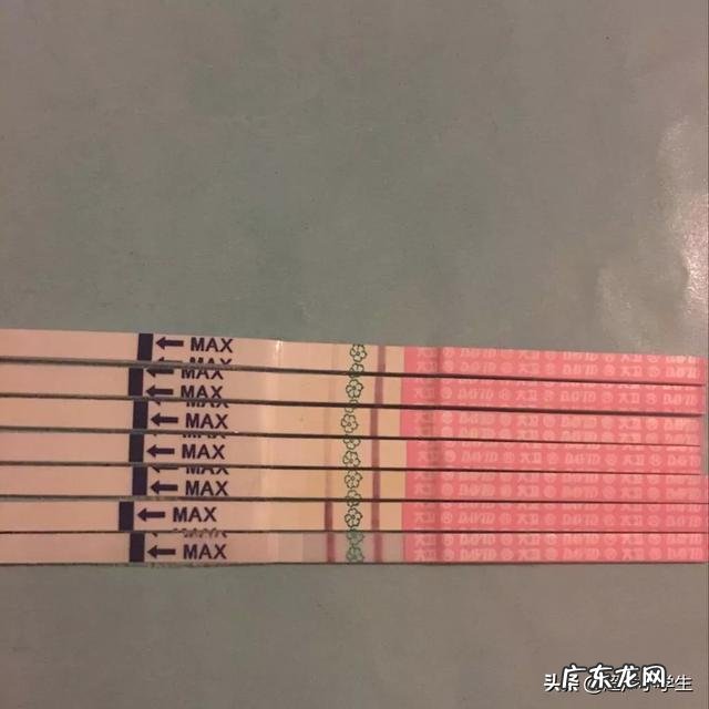 月经后几天是排卵期?