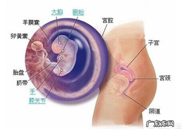 怀孕3个月胎儿成形了吗?需要注意哪些问题?