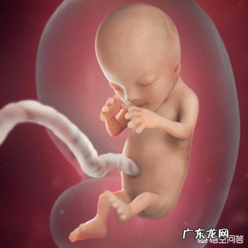 怀孕3个月胎儿成形了吗?需要注意哪些问题?