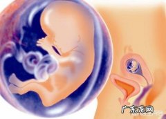 怀孕3个月胎儿成形了吗？需要注意哪些问题？