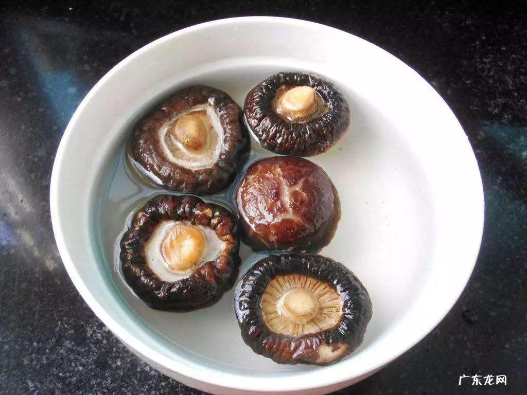 冬菇怎么煮多久营养