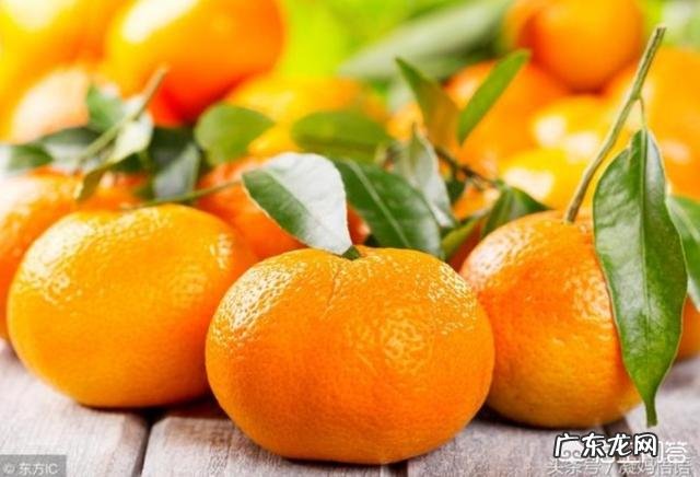 怀孕期间能不能吃桔子？