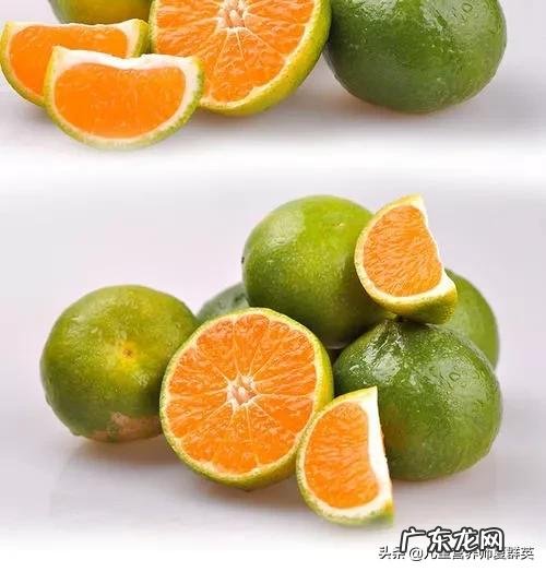 怀孕期间能不能吃桔子？