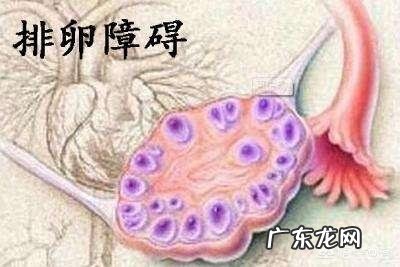 备孕时候多吃什么食物可以促进卵泡生长？