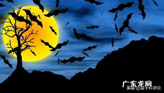 为什么说蝙蝠的存在对人类有益?消灭反而不好?