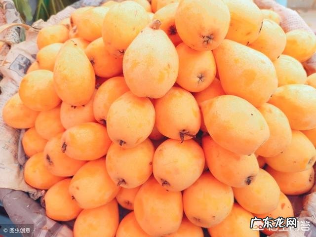 枇杷,为什么越来越受人欢迎?