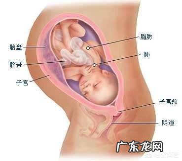 孕妇分娩时胎儿在干嘛?