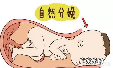孕妇分娩时胎儿在干嘛?