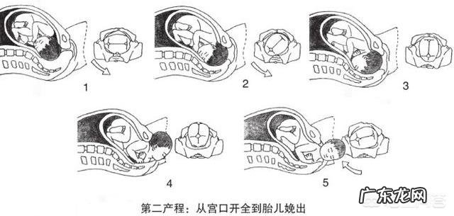 孕妇分娩时胎儿在干嘛?