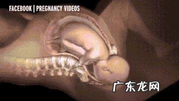 孕妇分娩时胎儿在干嘛?