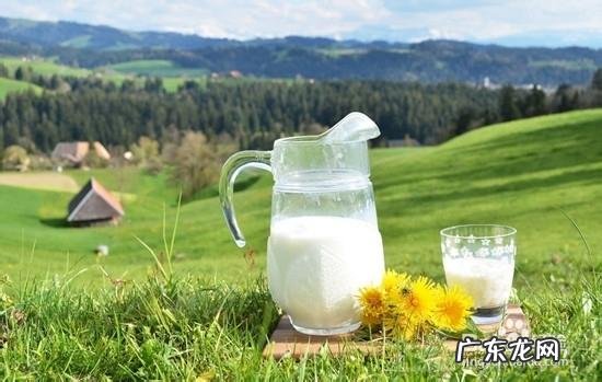 过期牛奶可以浇花吗,牛奶浇花好不好?