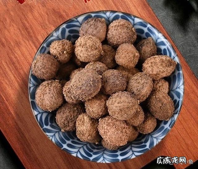 春砂仁怎样人工授粉？春砂仁怎样制作干果？