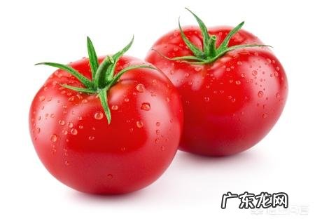 西红柿有什么功效呢?