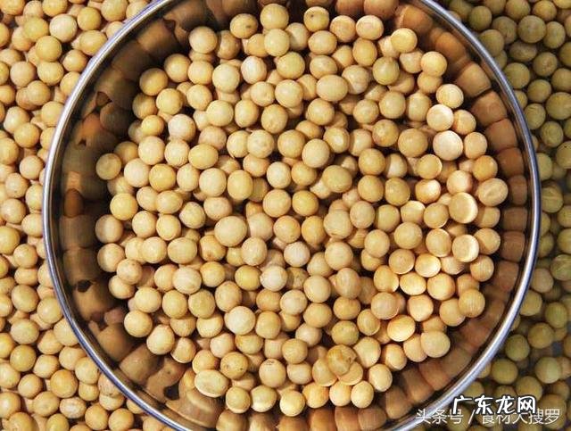 黄豆的营养价值高,我们一般都会打豆浆,发豆芽,也会凉拌,豆渣怎么吃呢?