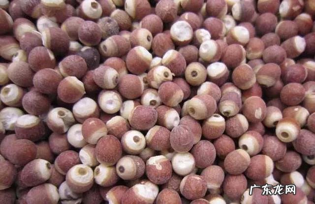 哪些普通食品补肝肾?