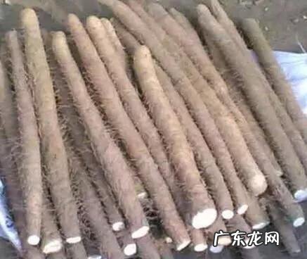 哪些普通食品补肝肾?