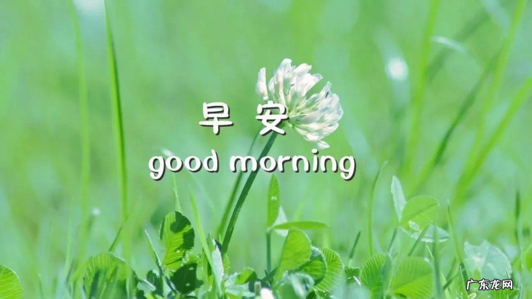 问候自己的早安句子