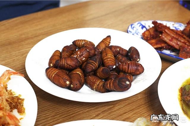 农村的知了猴就是金蝉,有哪些营养?为何这么多人爱吃?