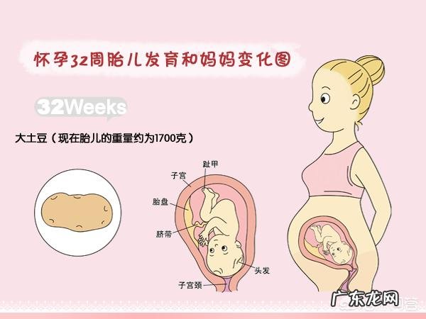 怀孕八个月以后的胎儿是不是胎位就固定了?