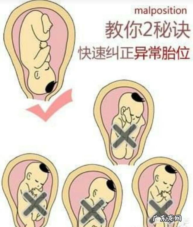 怀孕八个月以后的胎儿是不是胎位就固定了?