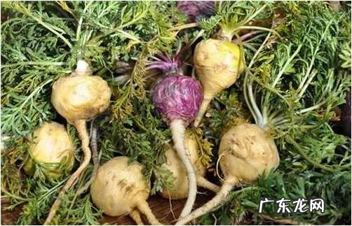 玛咖的功效是真的吗?