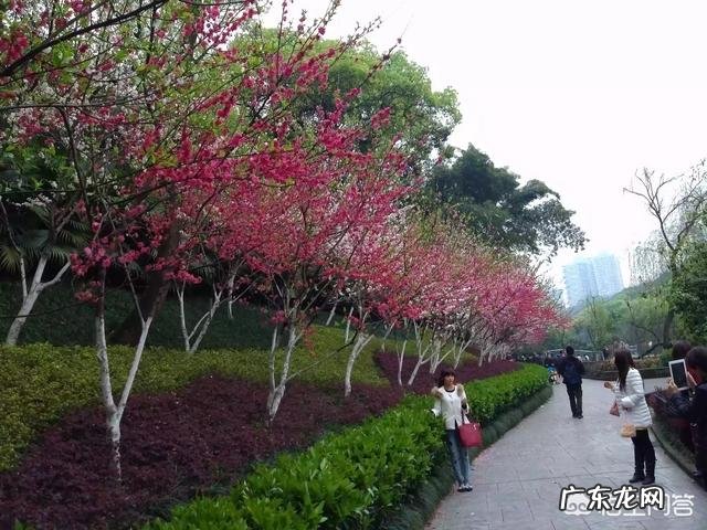 当下高三语文作文审题立意有哪些要注意的问题？