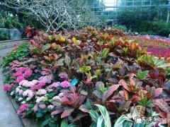 当下高三语文作文审题立意有哪些要注意的问题？