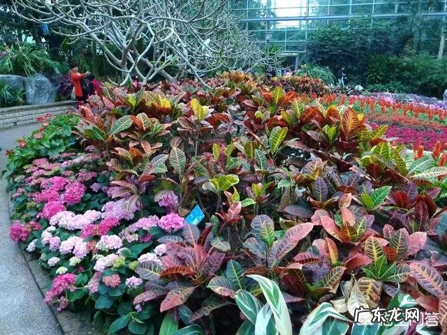 当下高三语文作文审题立意有哪些要注意的问题?