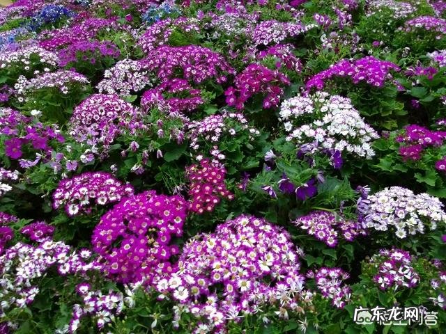 当下高三语文作文审题立意有哪些要注意的问题？