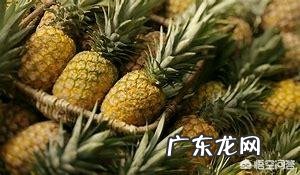 又到吃菠萝的时候了,菠萝有什么营养价值呢?