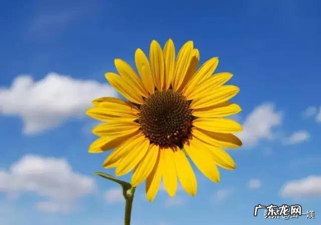 顺产的时候,进产房时有什么注意事项?需要带什么东西?