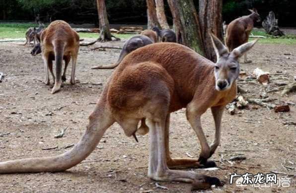 七夕又到了送什么礼物给女朋友？