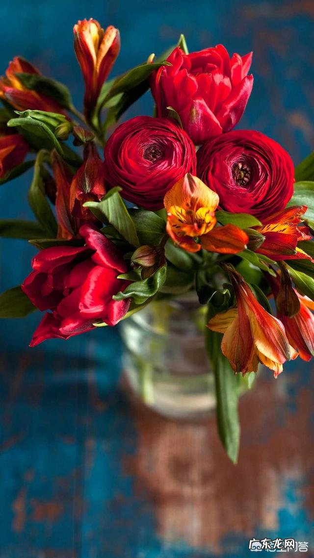 七夕又到了送什么礼物给女朋友?