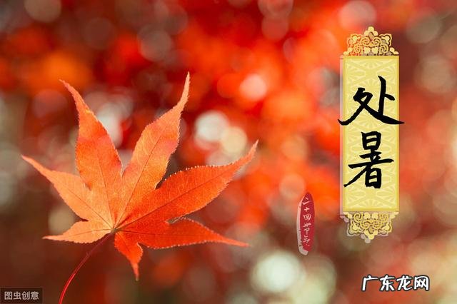 夏天快过去了，可农村老人们还说有“秋老虎”，秋老虎是什么意思？