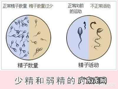 一直怀不上孩子怎么办？