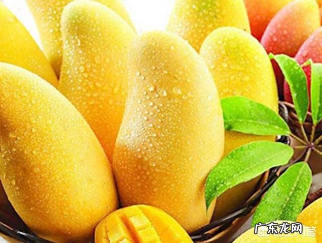芒果有什么营养价值呢?
