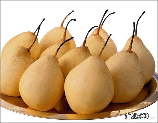 夏季吃什么水果下火?